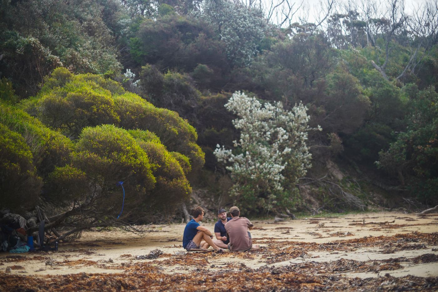 Three men sitting on a beach below scrubby dunes