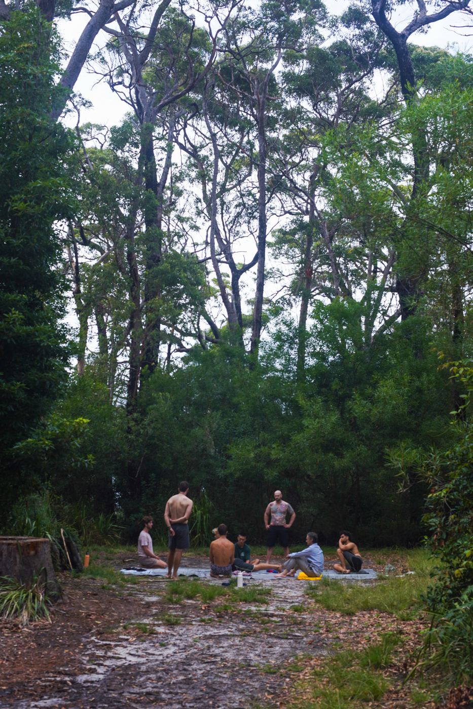 A small group sitting in a circle under tall gums