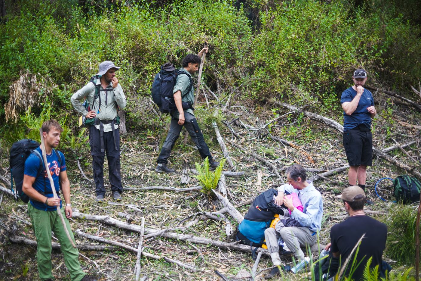 Hikers with packs resting in regrowth bush